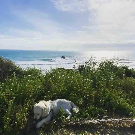 Casa 77, La Playa Mas Bonita A 150 Metros * Conil De La Frontera